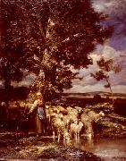 unknow artist Sheep 089 oil painting picture wholesale